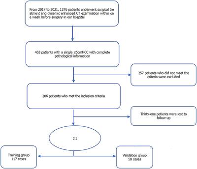 Use of radiomics containing an effective peritumoral area to predict early recurrence of solitary hepatocellular carcinoma ≤5 cm in diameter